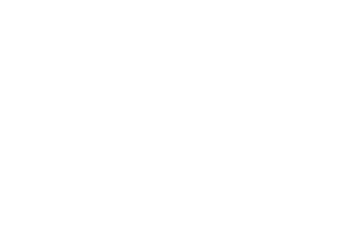 Garnier