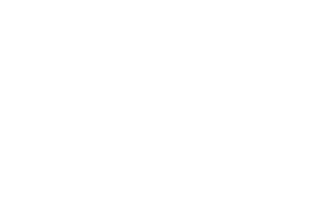Правительство РФ